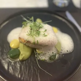 Halibut