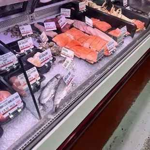 Fish