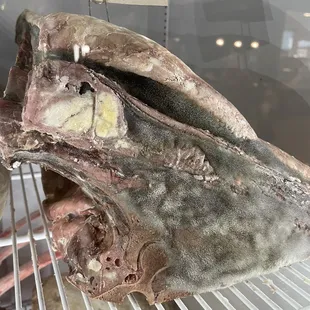 Fungus on meat!