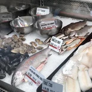 a variety of fish