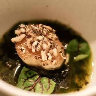 Hokkaido Scallop