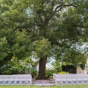 A ceremony under our large Pecan Tree.
