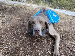 Lovell Gulch Trailhead