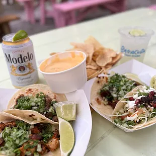 Barracuda Taco Stand