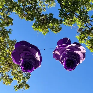 Close up of flower installation