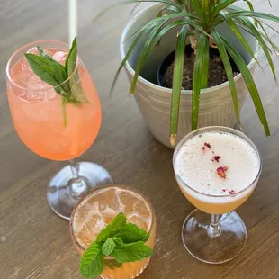 Showstopper, Mint Smash, La Rosa Pina