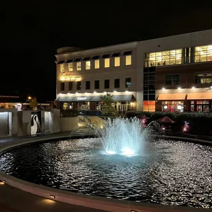 View from the patio