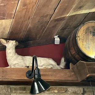 Mascot and a barrel?