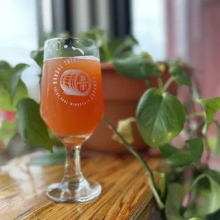 Spotted Tiger (Sour 4.0%)