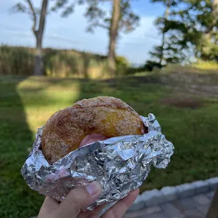 Barrier Island Bagels