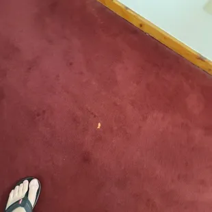 Stains, and dead bugs
