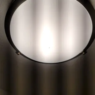 Dead bugs inside the lights in every room