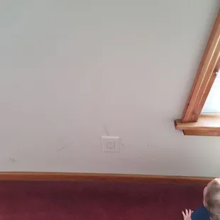 Bug guts on wall near where our daughter was crawling.