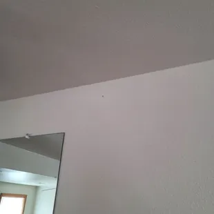 More bugs