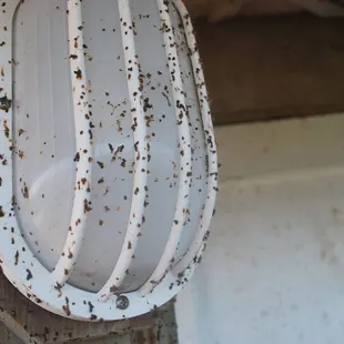 outdoor lights all look like this - some worse.