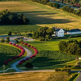 Summertime at the BIC!