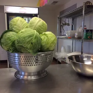 The early stages of sauerkraut