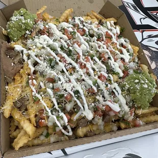Carne Asada Fries full order