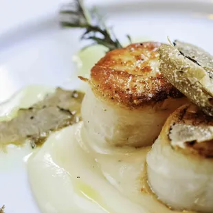 Seared Scallops with Winter Black truffle shavings