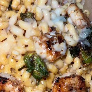 food, pasta dish, pasta