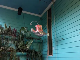 The Aquarium Gallery and Studios