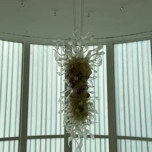Chihuly chandelier.