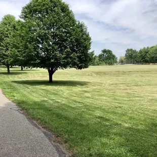 Love all of the open space!