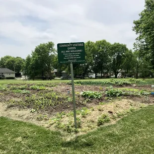 Community Vegetable Garden - so awesome