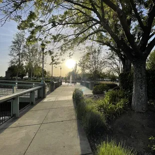 Beautiful Park