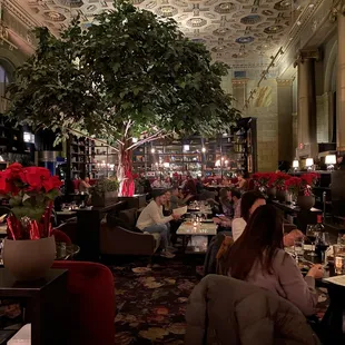 Saturday, 3 Feb. 2024 -- inside Bartleby