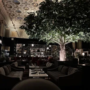 a living room with a tree in the middle