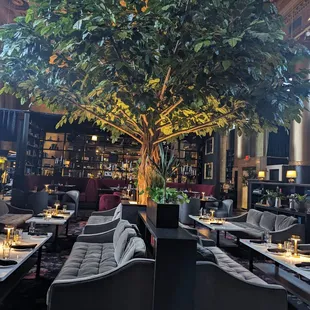 The interior is magical