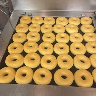a tray of doughnuts on a conveyor belt