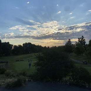 people playing golf