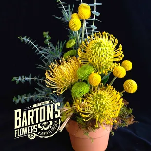 Sometimes some Southwest creativity is the perfect gift.