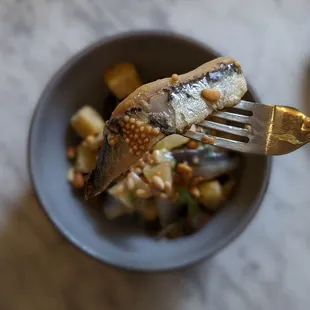 Sardine