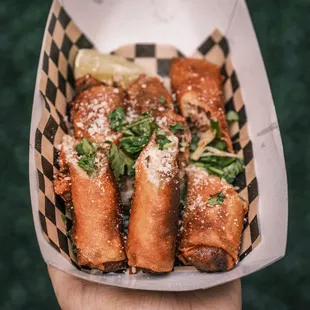 Oxtail birria lumpia!
