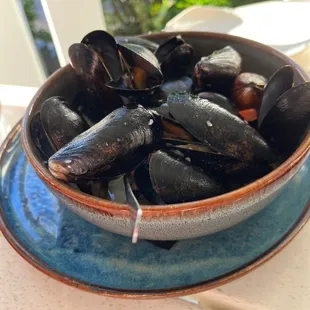 Mussel Frites - sambucco white wine butter broth, truffle aioli