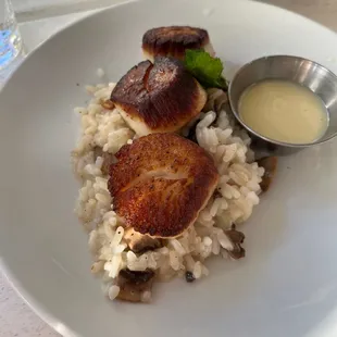 Scallop - pan seared, wild mushroom risotto