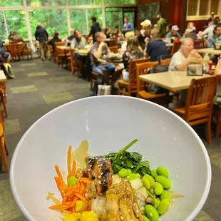 Teriyaki Bowl (half order)