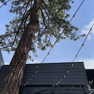 Relaxing view from s'mores fireplace deck