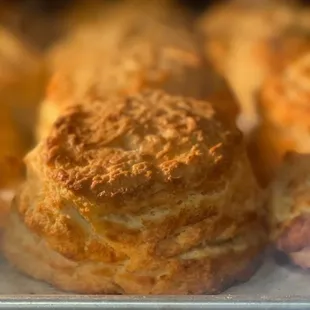 Baseline Biscuits