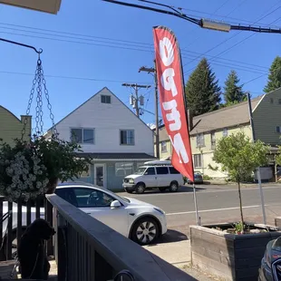 You can see the summit of Mt Hood