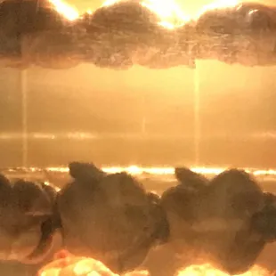 Bashas swan chickens roasting