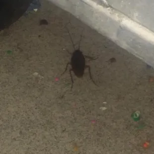 Just gonna leave these here.