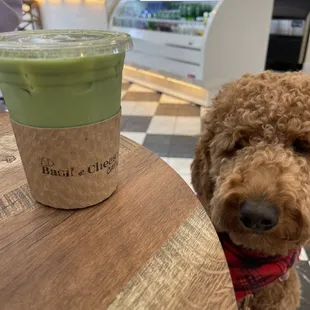 Iced Matcha Latte with Oat Milk