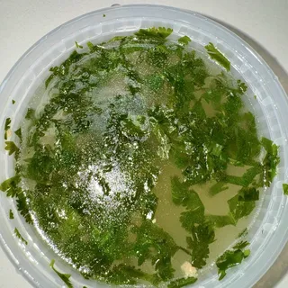 Cilantro-Chicken Broth