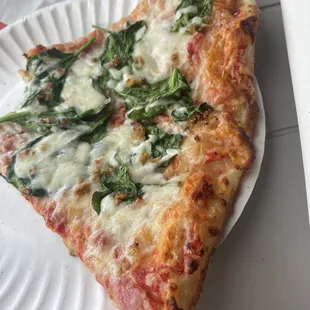 a slice of pizza on a paper plate