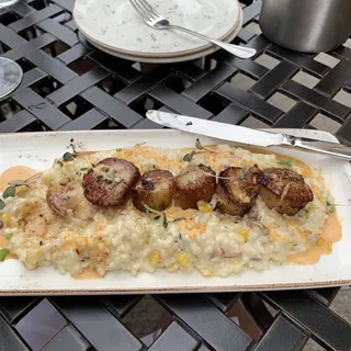 Scallops