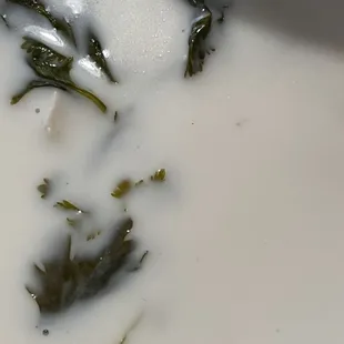 a close up of a bowl of soup